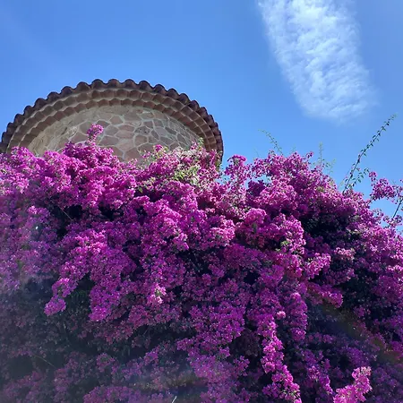 Les Restanques Du Golf De Saint Tropez, 83310 Grimaud, France Appartement